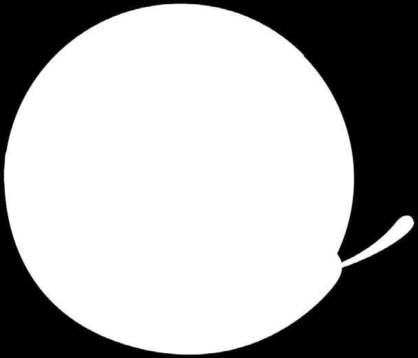 HARMONOGRAM