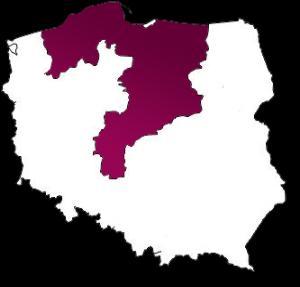 Polski obszar