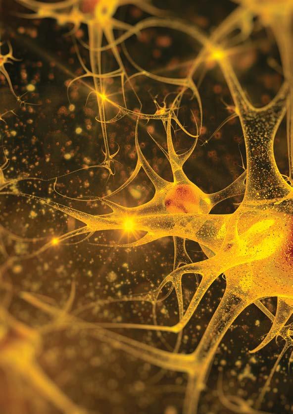 NIEDOJRZAŁOŚĆ NEUROMOTORYCZNA DZIECI Z ASD STUDIUM PRZYPADKU DZIECKA Z ZESPOŁEM ASPERGERA W ostatnich latach obserwujemy wzrost liczby dzieci z zaburzeniami ze spektrum autyzmu (ASD).