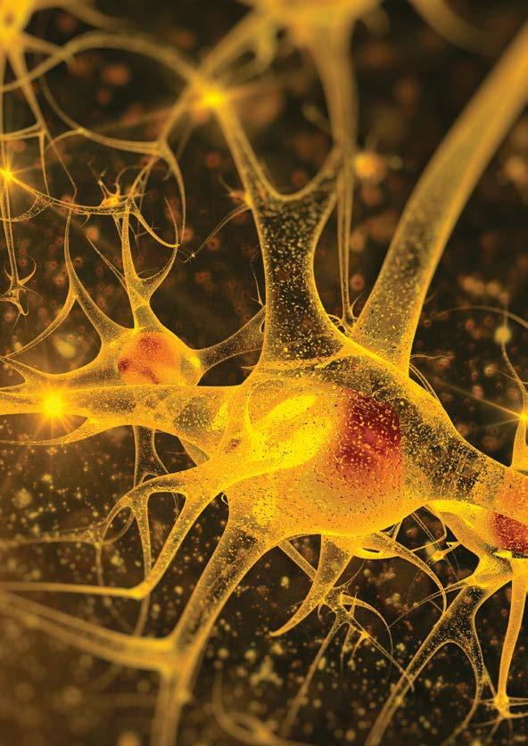 metody terapii logopedycznej Na czym polega metoda INPP? Metoda ta powstała w Instytucie Neurofizjologii i Psychologii (INPP) w Chester. Instytut został założony w 1975 r. przez dr.