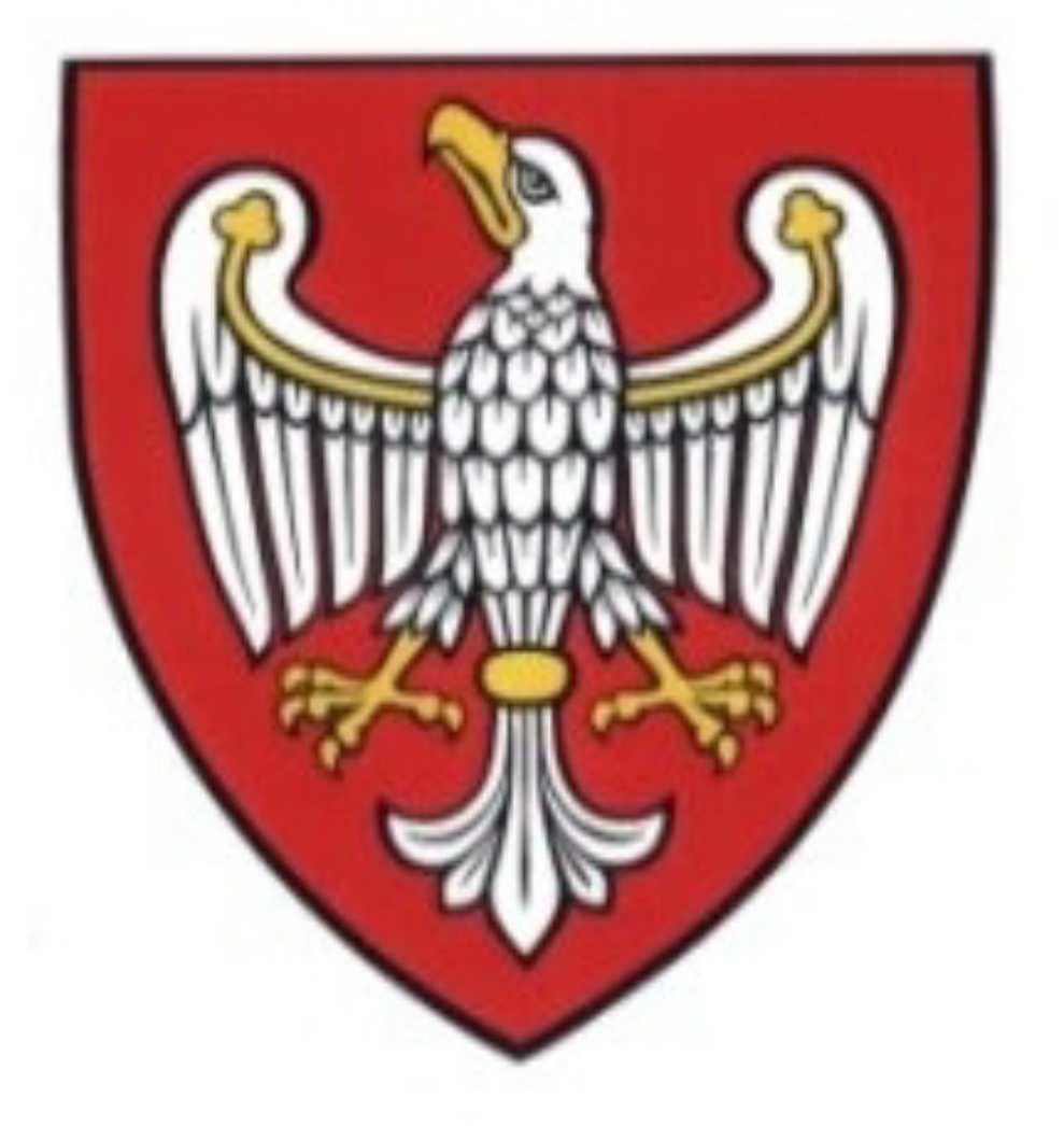 Kryteria wyboru projektów dla poszczególnych osi priorytetowych, działań i poddziałań (EFS) ZARZĄD WOJEWÓDZTWA WIELKOPOLSKIEGO WIELKOPOLSKI REGIONALNY PROGRAM