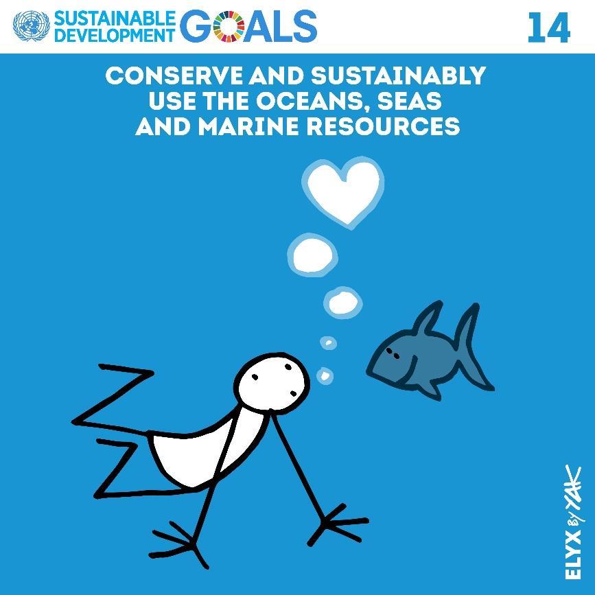 Wybrane zadania: Życie pod wodą Chronić morza i oceany oraz wykorzystywać ich zasoby w zrównoważony sposób Do 2025 roku zapobiegać i znacznie zmniejszyć poziom wszelkich rodzajów zanieczyszczeń