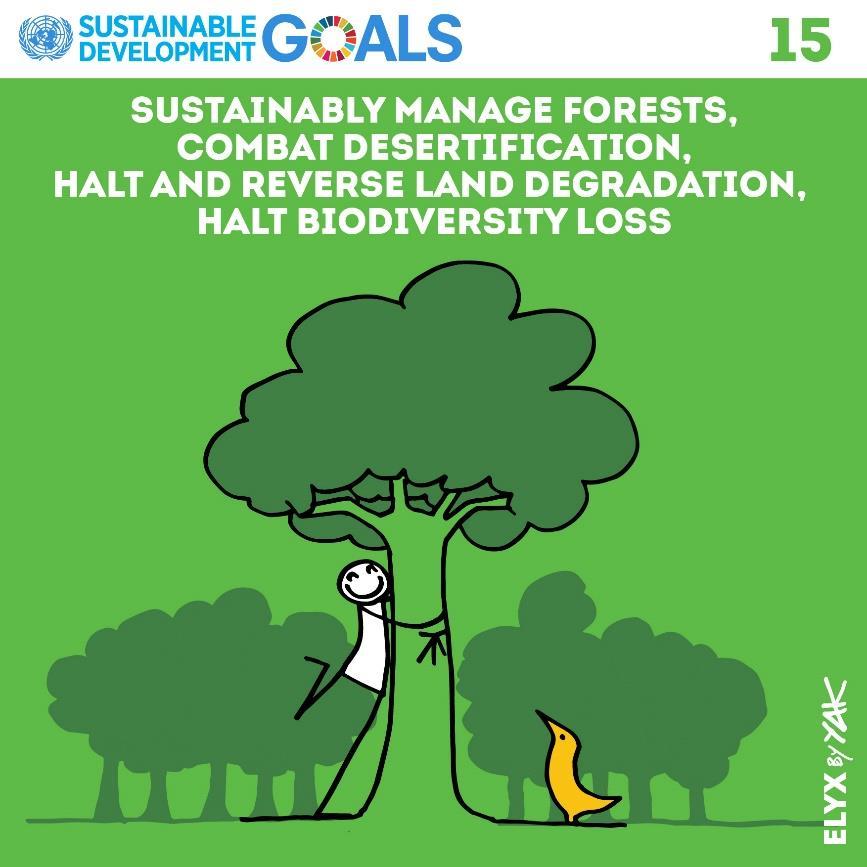 Wybrane zadania do 2020 roku: Życie na lądzie Zarządzać lasami w sposób zrównoważony, zwalczać pustynnienie, zatrzymać i odwrócić proces degradacji gleby, powstrzymać utratę bioróżnorodności Zapewnić