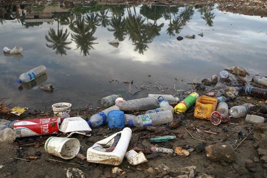 - Jeśli obecne trendy utrzymają się, do roku 2050 będziemy mieć więcej plastyku niż ryb w naszych oceanach. - Pokonaj plastykowe zanieczyszczenie.