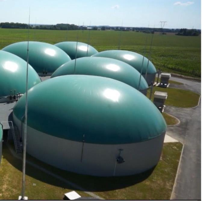 Biogaz ze słomy konopnej Polska- jeden z największych producentów pomiotu kurzego w Europie Pomiot kurzy- bogaty w azot amonowy Słoma konopna- znaczna zawartość węgla