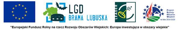 Załącznik nr 1 do Procedury realizacji projektów grantowych w tym wyboru Grantobiorców Wniosek o powierzenie grantu działanie Wsparcie dla rozwoju lokalnego w ramach inicjatywy LEADER poddziałanie