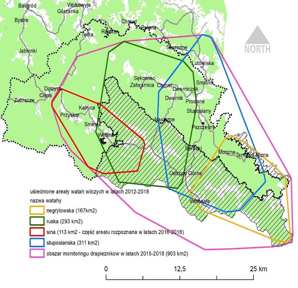 CZYM SĄ WILCZE GÓRY / JAKIE PROBLEMY OCHRONNE? zwierzęta terytorialne krytyczne przeszacowanie liczebności populacji (dot.