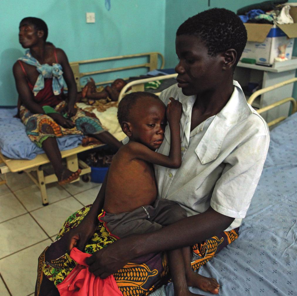 Gospodarka Malawi oparta jest przede wszystkim na rolnictwie. Dominuje tam prymitywne rolnictwo, tzw. samozaopatrzeniowe.
