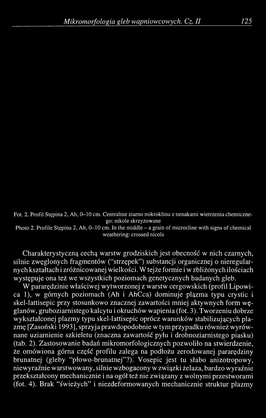 W pararędzinie właściwej wytworzonej z warstw cergowskich (profil Lipowica 1), w górnych poziomach (Ah i AhCca) dominuje plązma typu crystic i skel-lattisepic przy stosunkowo znacznej zawartości