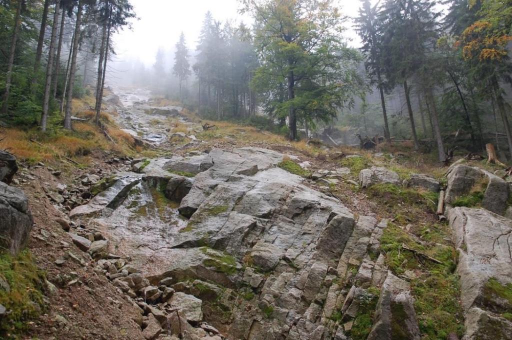 Stoki sudeckie piętra leśnego w holocenie fot. P. Migoń, 2013 Fot. 3.