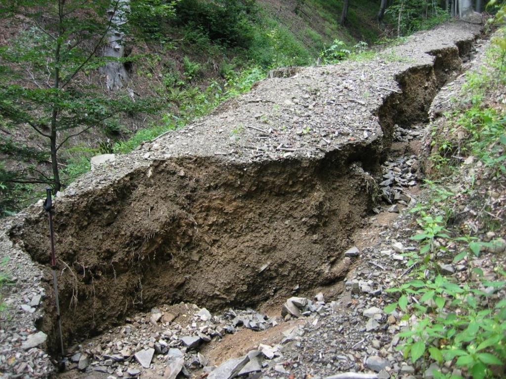 Stoki sudeckie piętra leśnego w holocenie Fot. 5. Głęboka rynna erozyjna w obrębie drogi leśnej w Górach Bardzkich, powstała w trakcie silnego epizodu opadowego w sierpniu 2006 r.