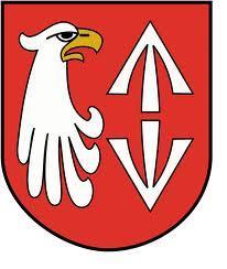 Załącznik do Uchwały nr 257/XXXV/17 Rady Powiatu Grodziskiego z dnia 29 czerwca 2017 RAPORT ZA LATA 2015 2016 Z REALIZACJI