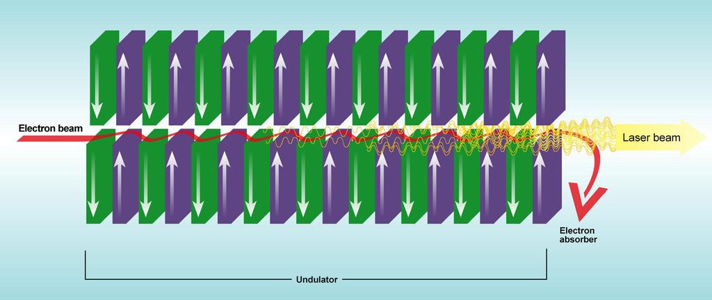 Laser na swobodnych elektronach Samowzmacniająca emisja spontaniczna Self-amplified spontaneous emission (SASE)