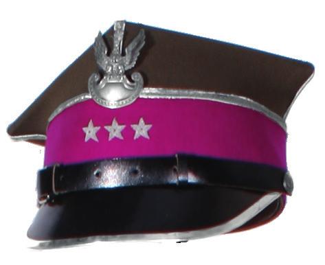 kolorowym otokiem Baretki odznaczeń (Krzyż Niepodległości, Medal
