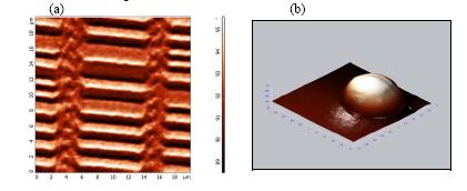 FOTON 101, Lato 2008 31 Rys.1. Obrazy AFM: a) Obraz AFM topografii powierzchni dysku magnetycznego, czułego na siły magnetyczne.