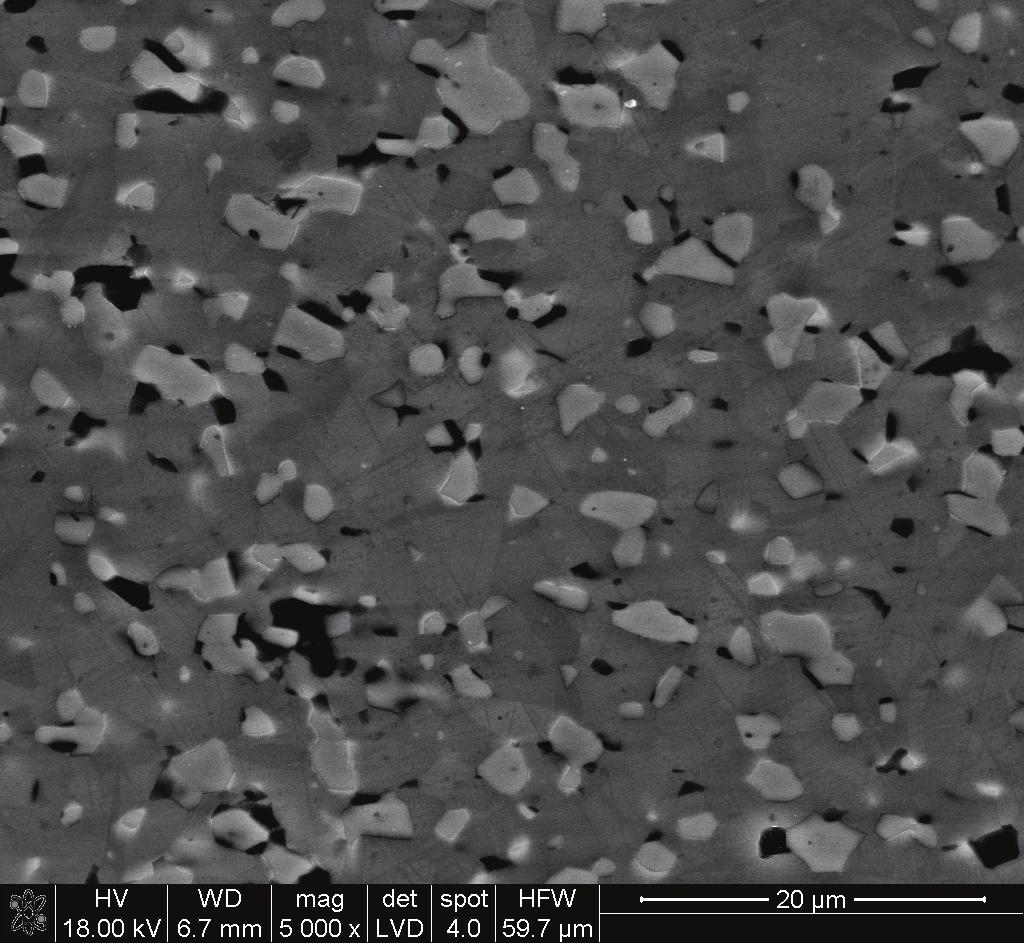 skaningowego, binarny obraz cząstek TiB2 z obrazu A Fig 2 SiC (UF-- vol % TiB2 composite: multishade SEM image of polished cross-section, binary image of TiB2 particles from the image A 4