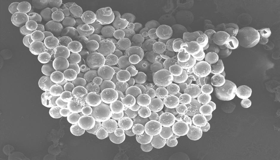 POLIMERY 2017, 62, nr 7 8 507 dromethylsiloxane (PHMS) with 1,3-divinyltetramethyldisiloxane (DVTMDS) was carried out in THF, using the Karstedt Pt(0) complex as a catalyst.