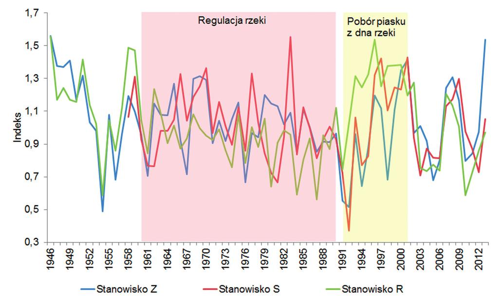 Wyniki Zestawienie przebiegu chronologii standardowych dla okresu 1946 2013 pozwala śledzić ich synchroniczność w czterech okresach: przed ingerencją w przebieg koryta, w czasie prac regulacyjnych,