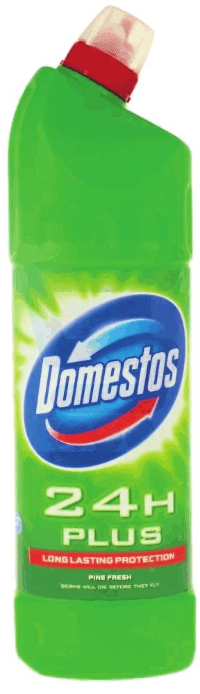 DOMESTOS Power