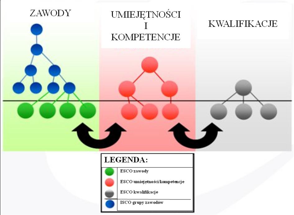 W tej koncepcji zawody z klasyfikacji ESCO traktowane są jako dodatkowy, piąty poziom, uzupełniający cztery poziomy grup zawodów i specjalności ISCO.