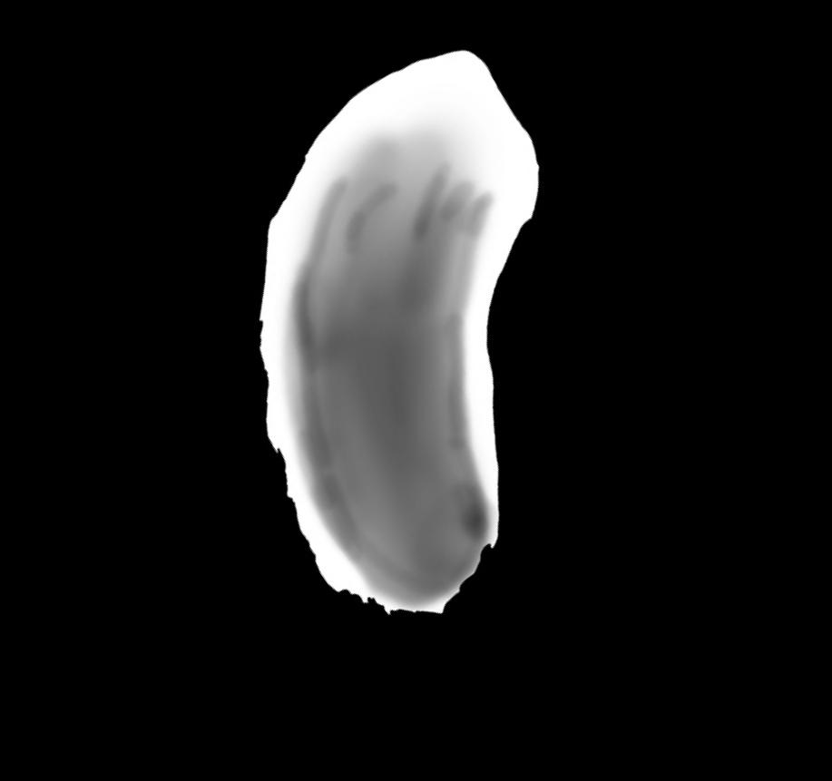Podaruj