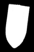 kolor oliwkowy,