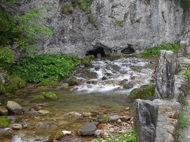 HYDROGEOLOGIA REGIONALNA prowadzący: dr hab. prof.