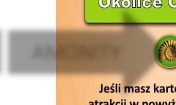 Karty pasujące d siebie: Karty atrakcji pasują d siebie, jeśli mają taką samą iknę lub klr Karty bnuswe pasują d siebie, jeśli mają ten sam klr Karty specjalne