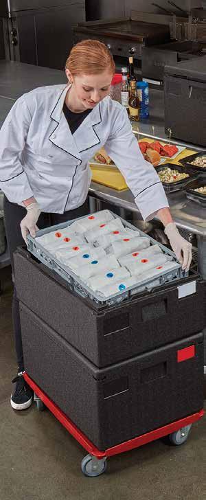 Akcesoria Cam GoBox 4060 Camchiller Płyty chłodzące (Camchiller) zostały zaprojektowane w celu wydłużenia czasu przechowywania żywności w niskiej temperaturze.