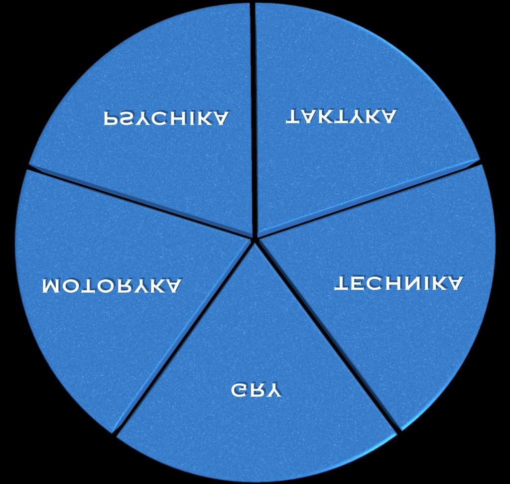 GŁÓWNE CZYNNIKI W DZIAŁANIU ONLY FUTBOL MOTORYKA W nauczaniu określamy główne cele, dostosowane do p o t r ze b z awo d n i k ó w ( r yc. 1 ).