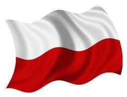 Jej opracowanie wymagało dokonania przeglądu badań wykonanych w Polsce i w innych krajach Europy w latach 1980 2008.
