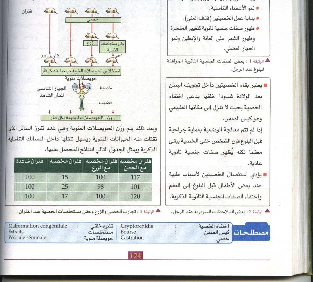 2-2-1 من المسو ول عن ظهور هذه الصفات أ- معطيات تجريبية : من علامات البلوغ عند الفا رصفة تناسلية ثانوية يمثلها نمو الحويصلات المنوية