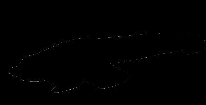 hydrofobowa