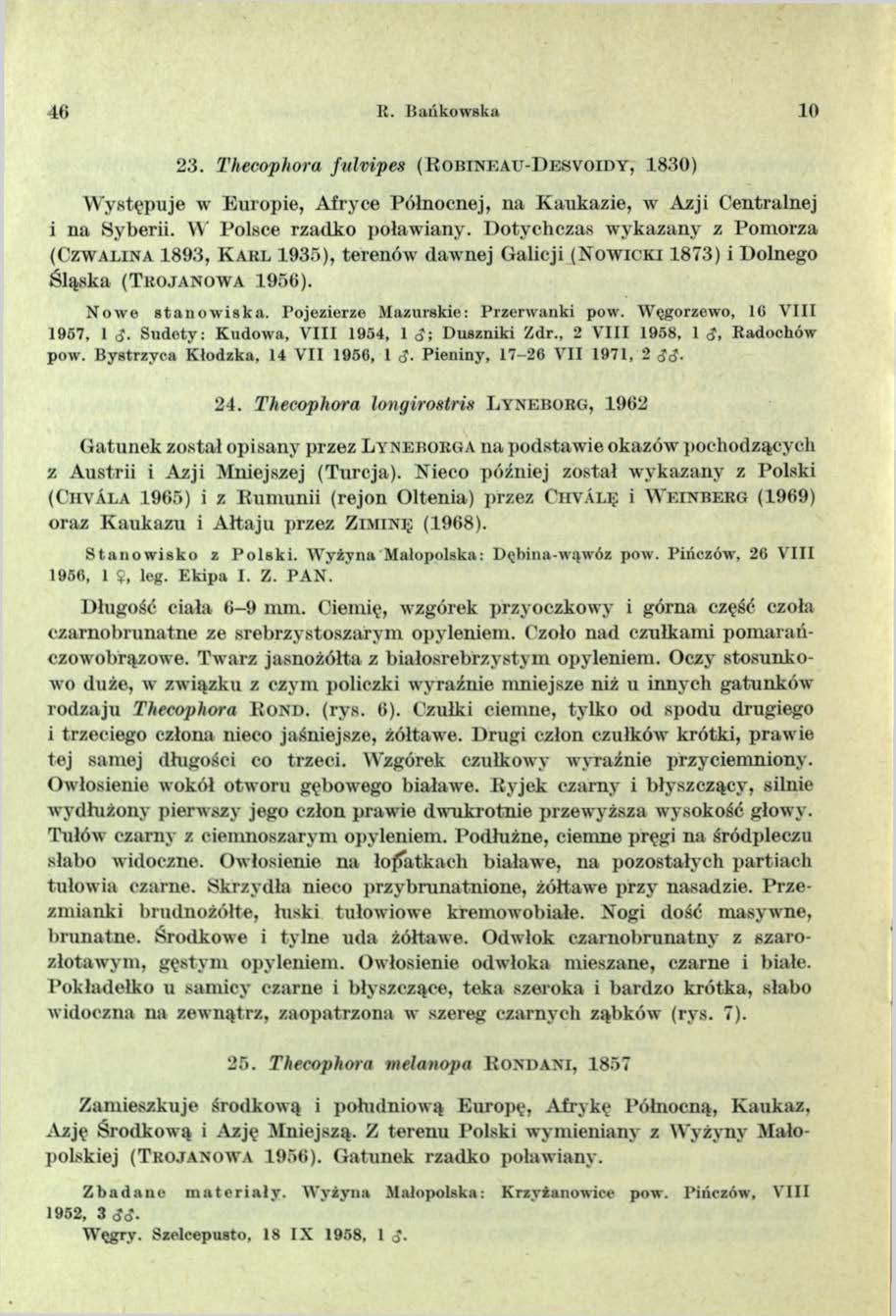 4 6 R. Bańkowska 10 23. Thecophora fulvipes (R o b t n e a u-d e s v o id y, 1830) W ystępuje w Europie, Afryce Północnej, na Kaukazie, w Azji Centralnej i na Syberii. W Polsce rzadko poławiany.