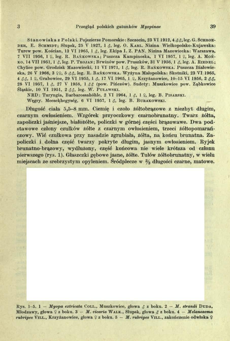 3 Przegląd polskich gatunków M yopinae 39 S t a n o w i s k a z P o ls k i. Pojezierze Pom orskie: Szczecin, 23 VI 1912, 4 G. Sc h r o e d e r, E. S c h m id t; Słupsk, 25 V 1927, 1 d. leg. O.