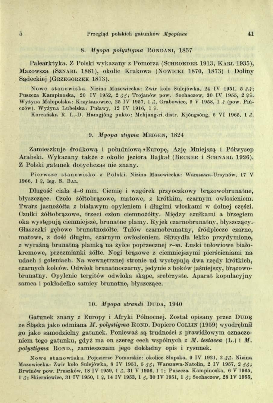 5 Przegląd polskich gatunków M yopinae 41 8. M yopa polystigma R o n d a n i, 1857 Palearktyka.
