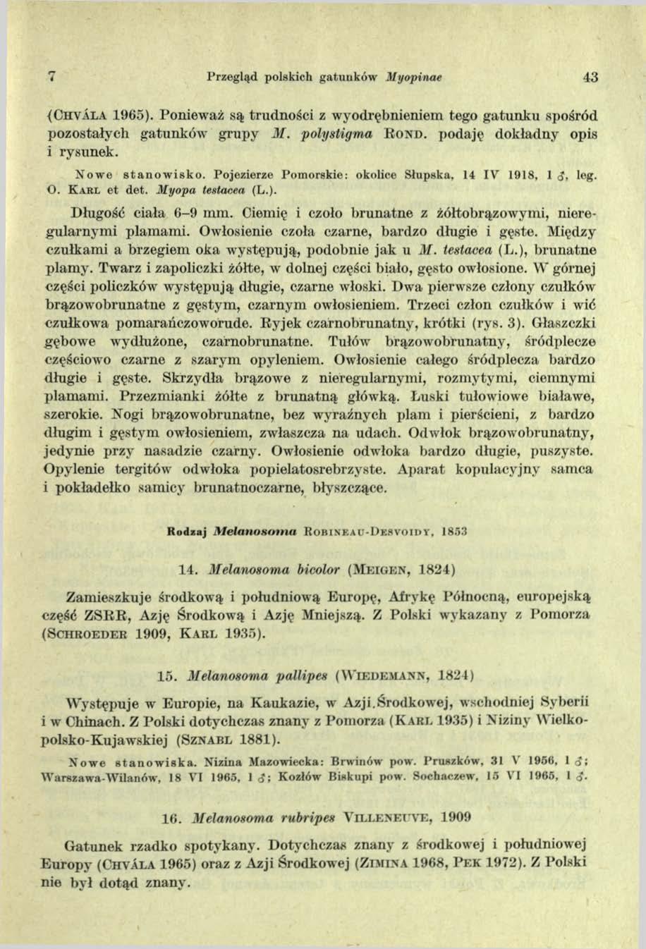 Przegląd polskich gatunków M yopinae 43 (C h v a l a 1965). Ponieważ są trudności z wyodrębnieniem tego gatunku spośród pozostałych gatunków grupy M. polystigma B o n d.