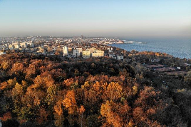Jak spędzić weekend #wgdyni Tydzień rekina Rekiny to zwierzęta starsze od dinozaurów! Od około 400 milionów lat niepodzielnie królują w wodach oceanu.