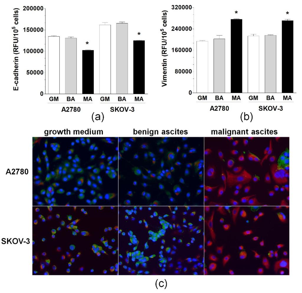 Int. J. Mol. Sci. 2019, 20, 137 2 of 10 who additionally showed that the fluid may induce the formation of cellular spheroids [8].