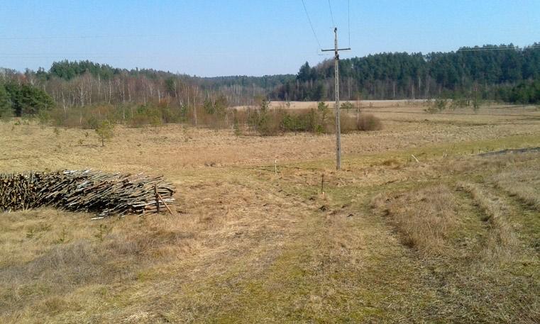 Stańko R., Wołejko L., Jarzombkowski F., Makles M., Horabik D. Ochrona torfowisk alkalicznych... Fot. 1.