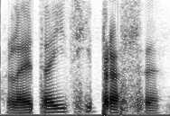 long-term: specgram(s,256,8,hamming(256),2); 4 35 3 25 2 15 1 5.2.4.6.8 1 1.