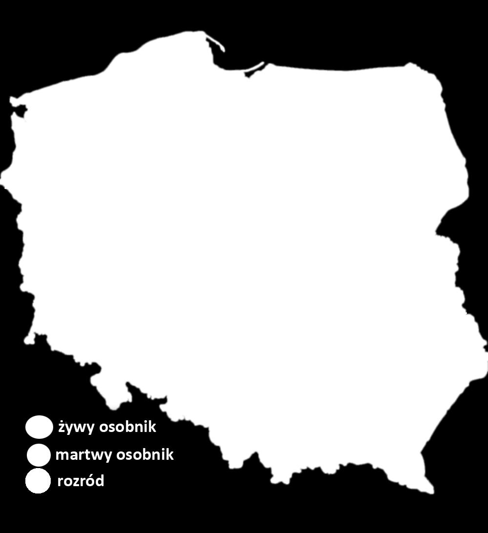 ) (Atlas Ssaków Polski PAN) 10 obserwacji w latach 2015-18 r.