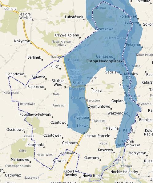 Dany obszar Natura 2000 stanowi ostoję ptasią o randze europejskiej E 41 (Nadgoplański Park Tysiąclecia).