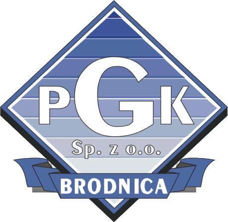 STYCZEŃ 2019 1 NOWY ROK 2 B F D H 3 C G C G 4