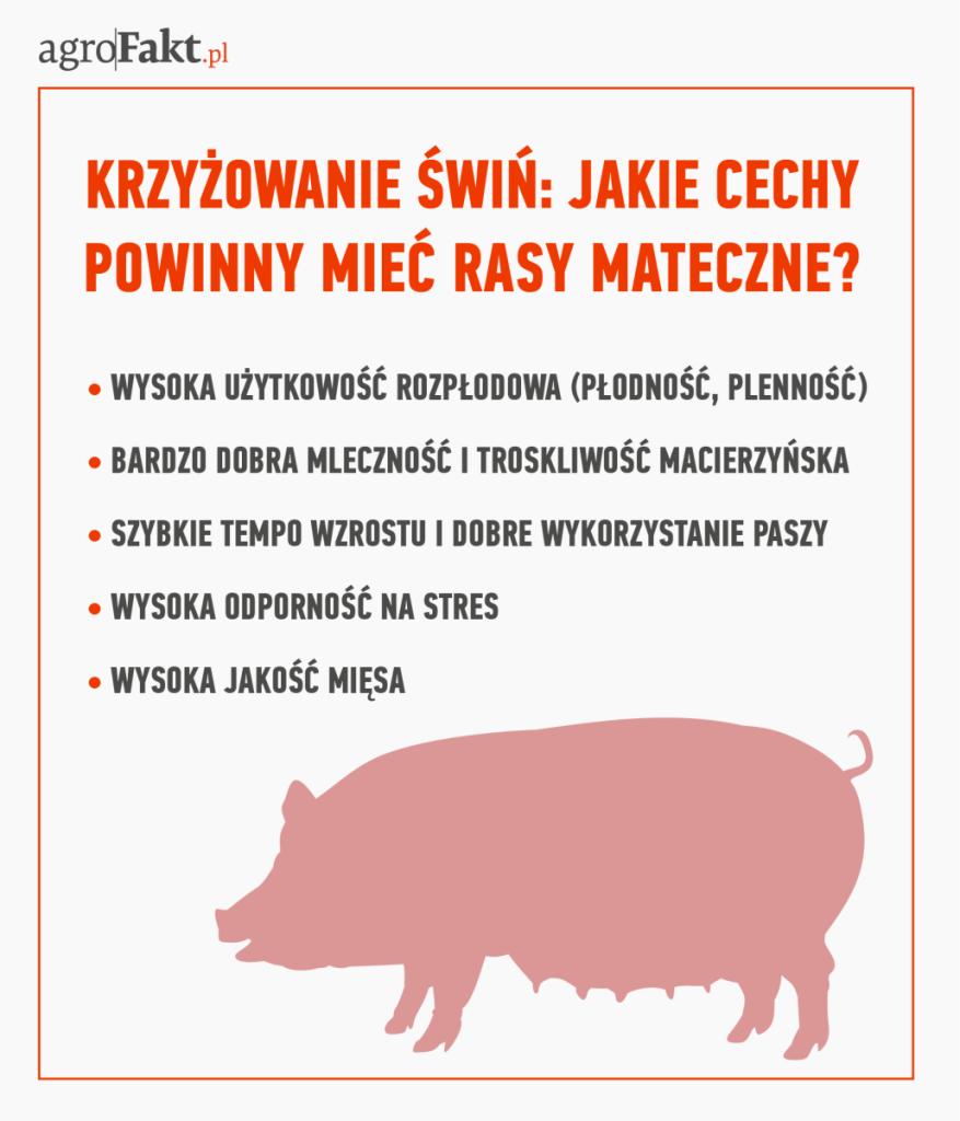 https://www. Czym powinny się charakteryzować rasy matczyne?