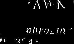 GŁOW \' # si(zu ALrsTA