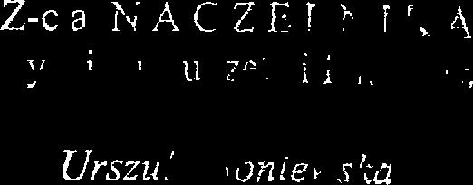 realizacji celu,,poprawa efektywności i organizacji działania pomocy społecznej