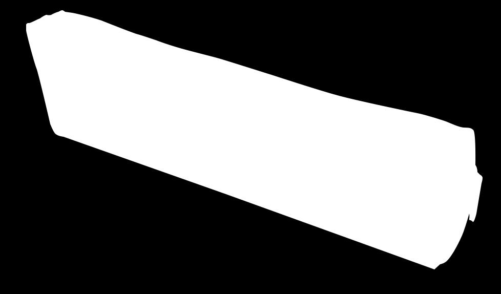 Manípulo 3. Interruptor 4.