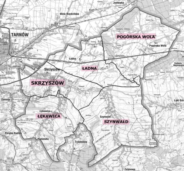 ROZDZIAŁ III WYZNACZENIE OBSZARÓW KRYZYSOWYCH 3.