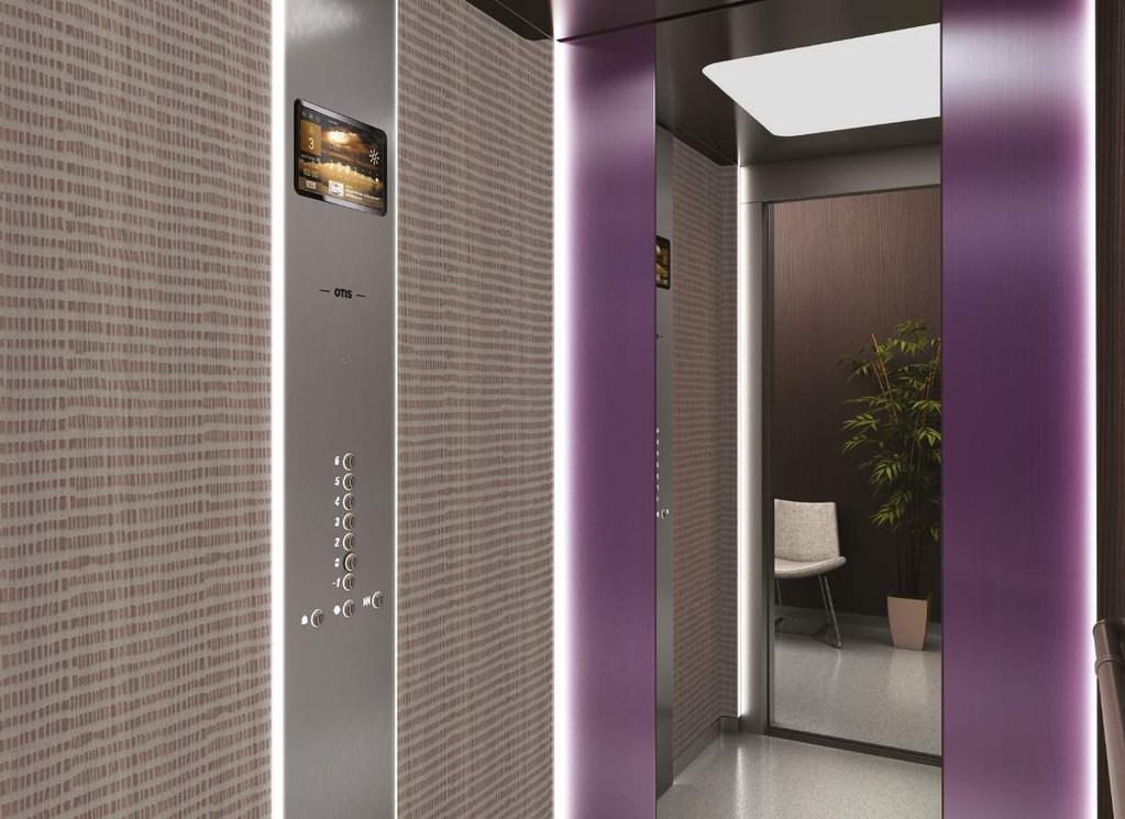 Natural SUF I T Y Brushed Stainless Steel Brushed Gold Stainless Steel